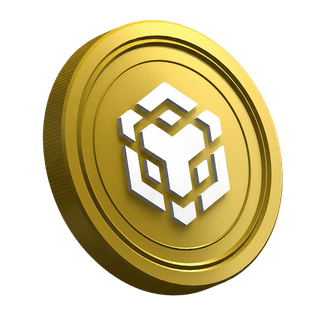 BNB de Binance, moneda de criptomoneda, en la página de guía para traders nuevos
